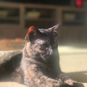 Meet your Posher, Amber